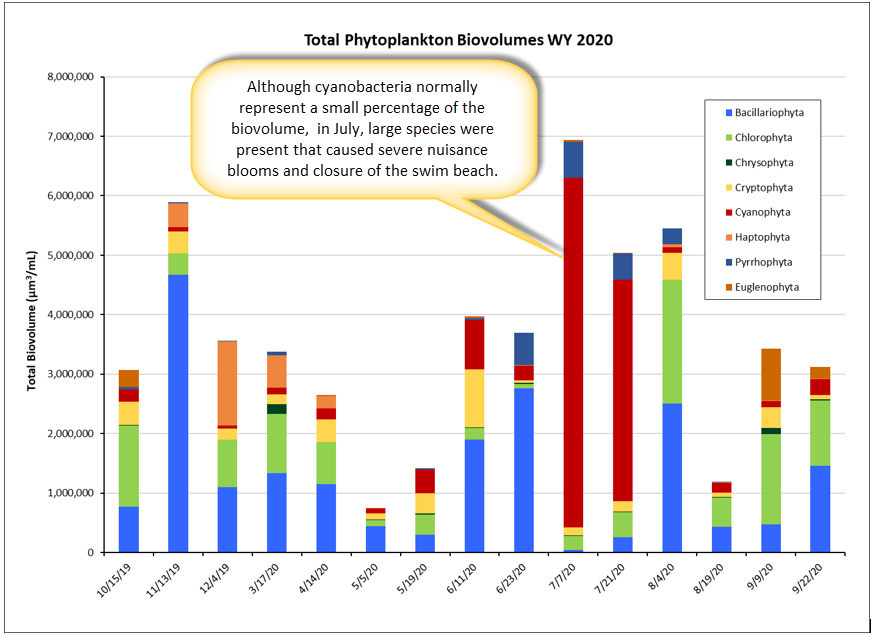 Phytoplankton Biovolumes Concentrations graph